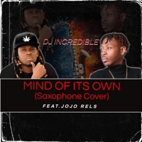 Mind of its own (feat. Jojo Rels) [Saxophone cover] - Single - dj incredible