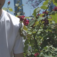 Can We At Least Be Friends - Single - kutsu