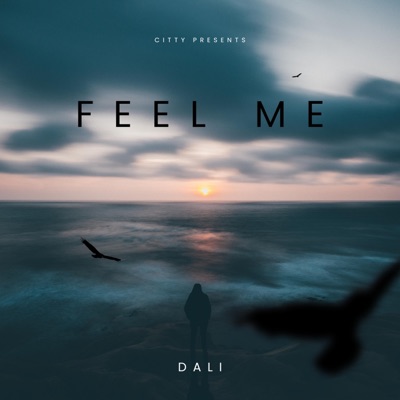 Feel Me - Single