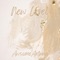 New Level - AwsomeAntwan lyrics