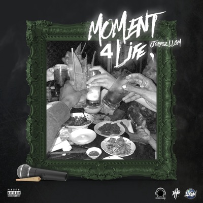 Moment 4 Life - Single