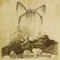 Arv - Mork lyrics