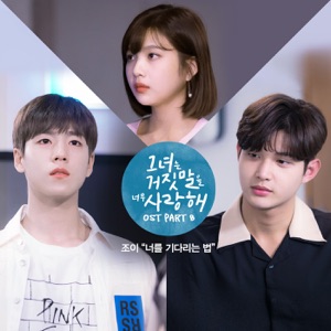 The Liar and His Lover, Pt. 8 (Original Television Soundtrack) - Single