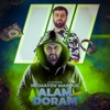 Alam Doram (feat. Alam Nadoram) [Remix] - Single