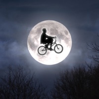 Bmx - Single - Books Washington