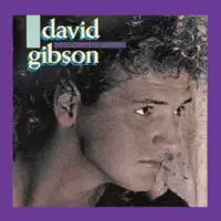 Rumours — David Gibson