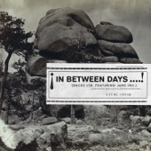 DUCKS LTD. - In Between Days