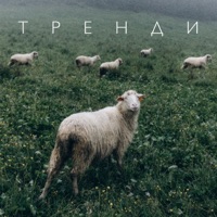 Тренди (feat. Omana & хейтспіч) - Single - діти інженерів & Alice Change