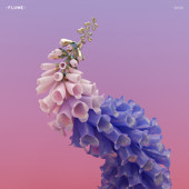 Never Be Like You (feat. Kai) - Flume Cover Art