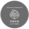 Swan - Gustavo Bravetti lyrics