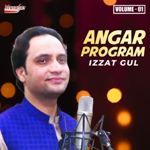 Angar Program, Vol. 1