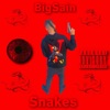 Snakes - Single