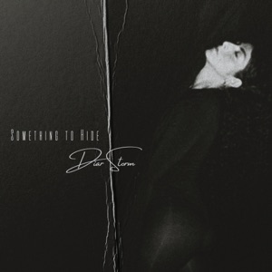 Something to Hide - Single