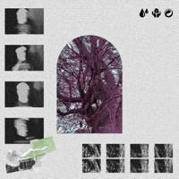 Gimme Gimme - Single - Baclash