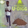 U-Digg - Single