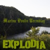 Maxime Tremblay Brightia Explodia