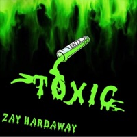 Toxic (feat. Zay Hardaway) - Single - Meech Entx