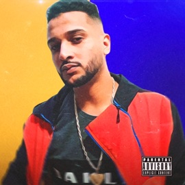 Estilo Brasileiro FCO Músicas & MC Bido