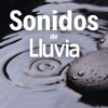 Lluvia Relajante que Cae - Despertar Natural