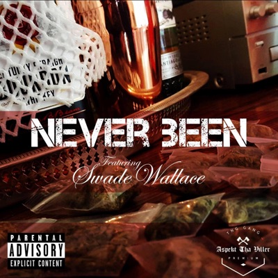 Never Been (feat. Swade Wallace) - Single