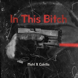 In This Bitch (feat. Cokilla)
