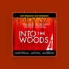 ‘Into The Woods’ 2022 Broadway Cast