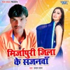 Mirzapuri jila Ke Sajanwa - Single