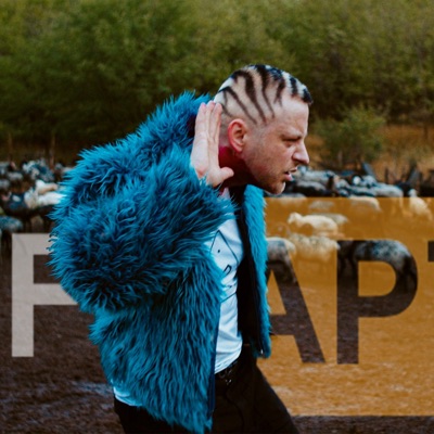 Fapte (Fan RMX) [Disco Remix] - Single