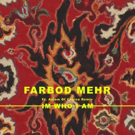 I’m Who I Am (feat. Axiom of Choice) Farbod Mehr