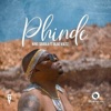 Phinde (feat. Blaq Voltz) - Single