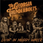 Livin' in Muddy Water artwork