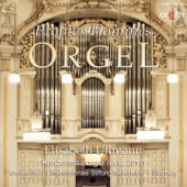Organ Concerto in A Minor, BWV 593: I. Allegro (After Antonio Vivaldi's Concerto for 2 Violins in A Minor, RV 522) artwork