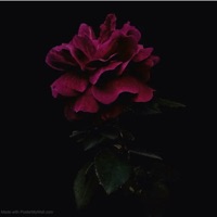 Lagan - Single - Hasnain Ali Music