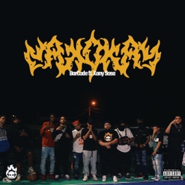 Okay Okay (feat. Xany Sosa) BarCode