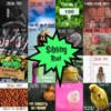 Sibling Riot - Pooping My Pants