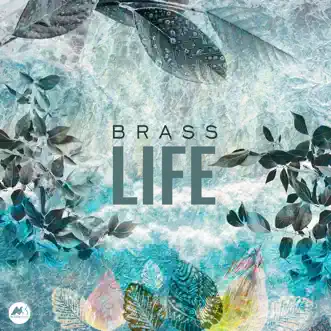 Life - Single by Brass album reviews, ratings, credits