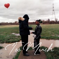 Too Much - Single - Taifunds
