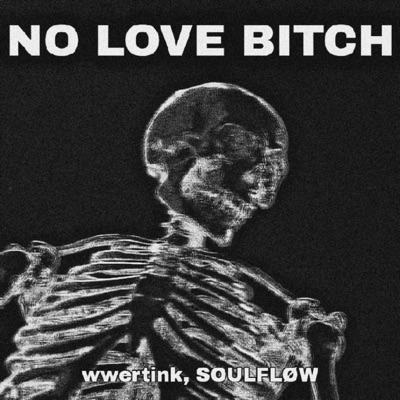 No Love Bitch - Single