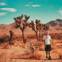 The Django Tape - EP - Loopy