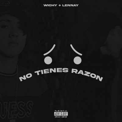 No tienes razón (feat. Lennay) - Single