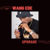 Upgrade - Single