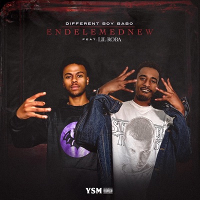 ENDELEMEDNEW (feat. Lil Roba) - Single