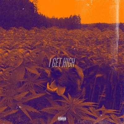 I Get High (feat. General Rizz & Breesy) - Single