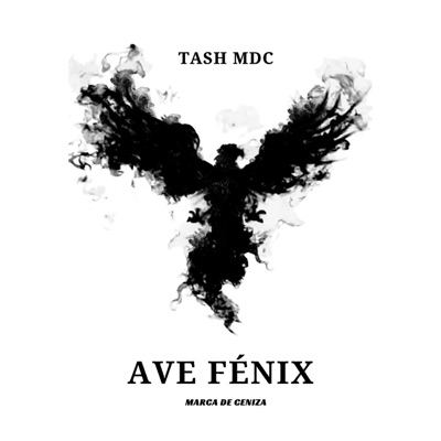 TIC TAC LENTO (CHARLIEE MDC Remix) - Single