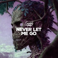 Never Let Me Go - Single - Cryztal Grid