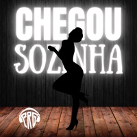 Chegou Sozinha - Single - PRG