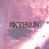 Sky Fallin - Single