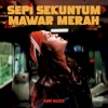 Sepi Sekuntum Mawar Merah - Single