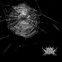 Thread - Single - Ever the Ghost