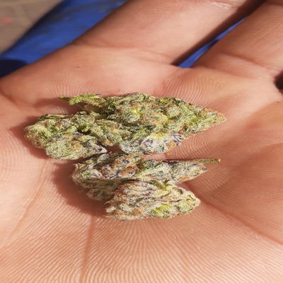 4 My Friend In Rehab - Single